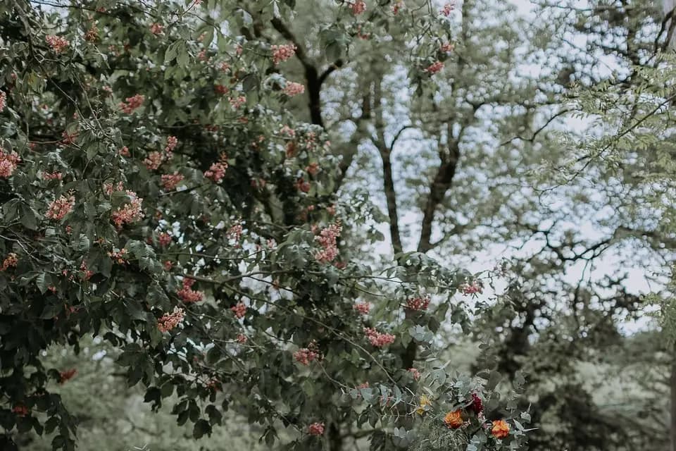 Lueur de Bonheur — photo 6