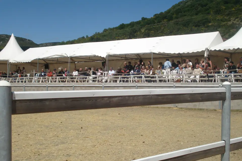 Terra Réceptions — photo 8