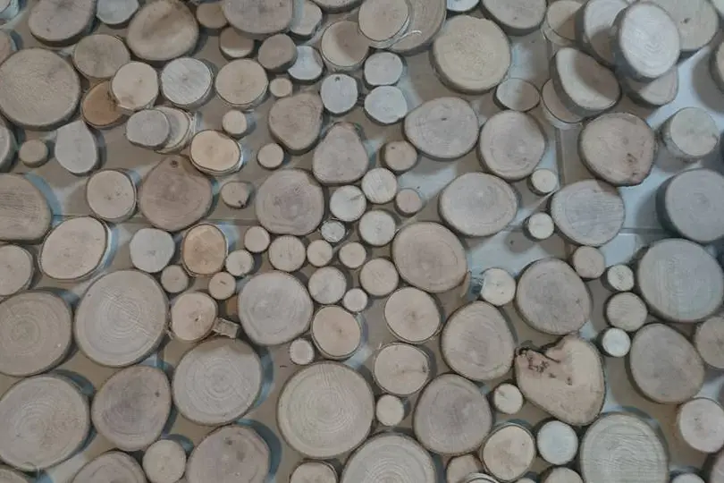 Kamabois — photo 1