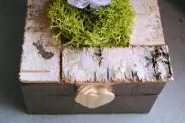 Kamabois — photo 3