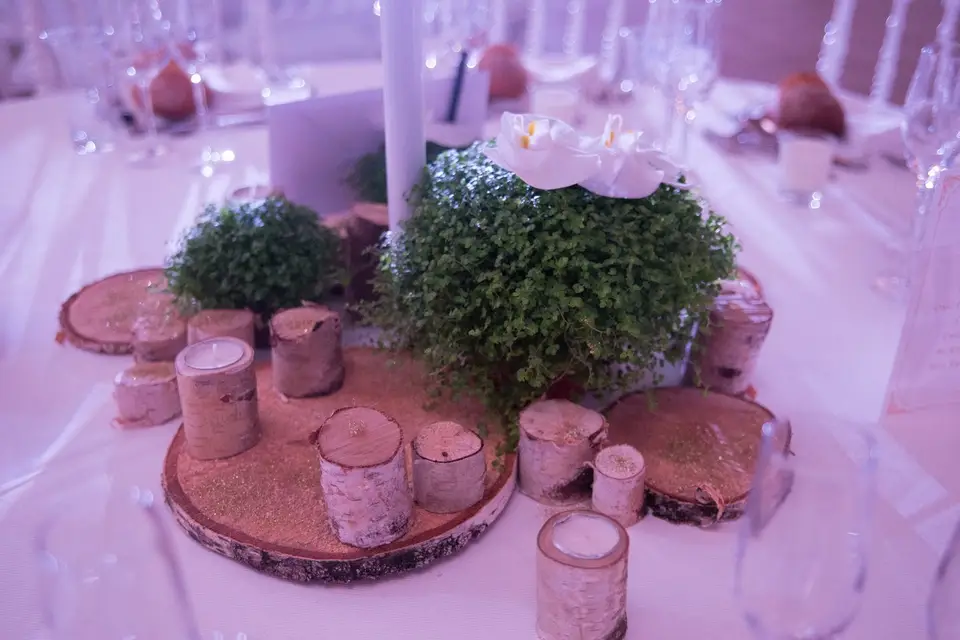 Kamabois — photo 2