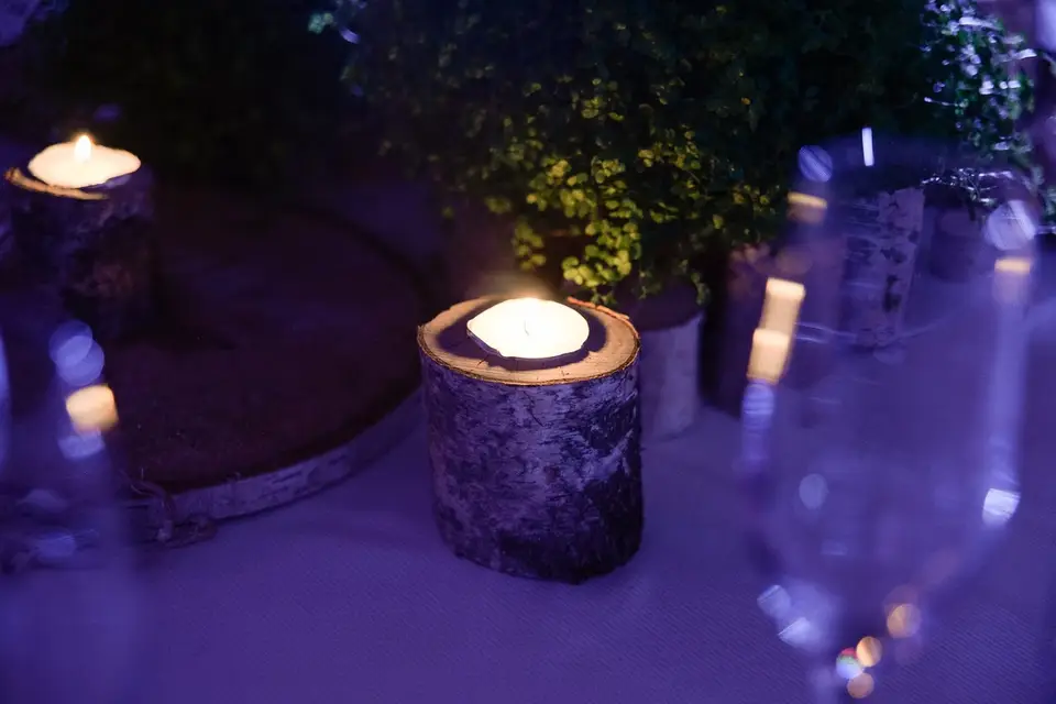 Kamabois — photo 6