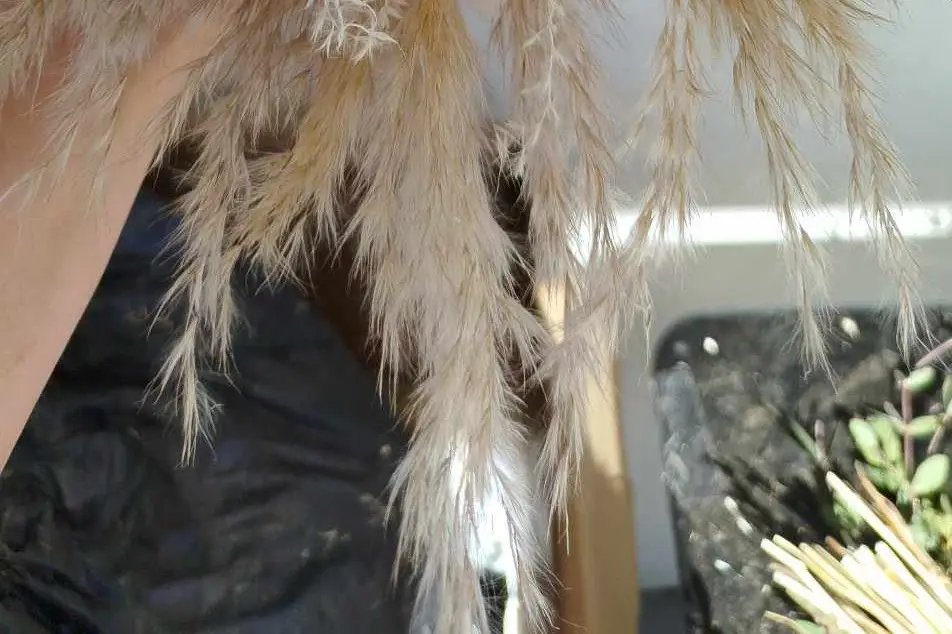 Les Créations de Pauline — photo 2