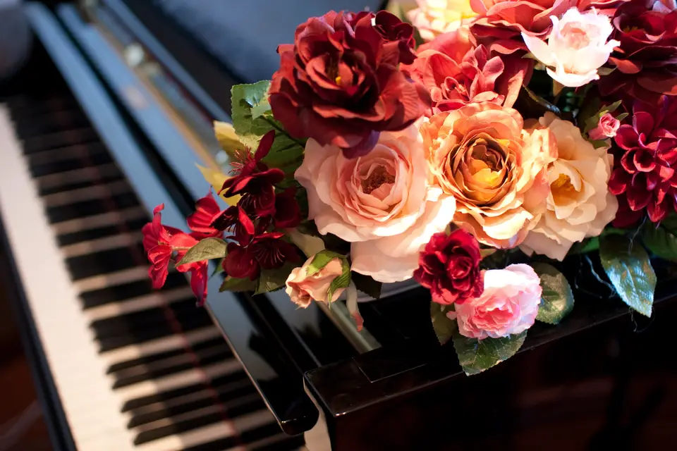 Film Souvenir — photo 1