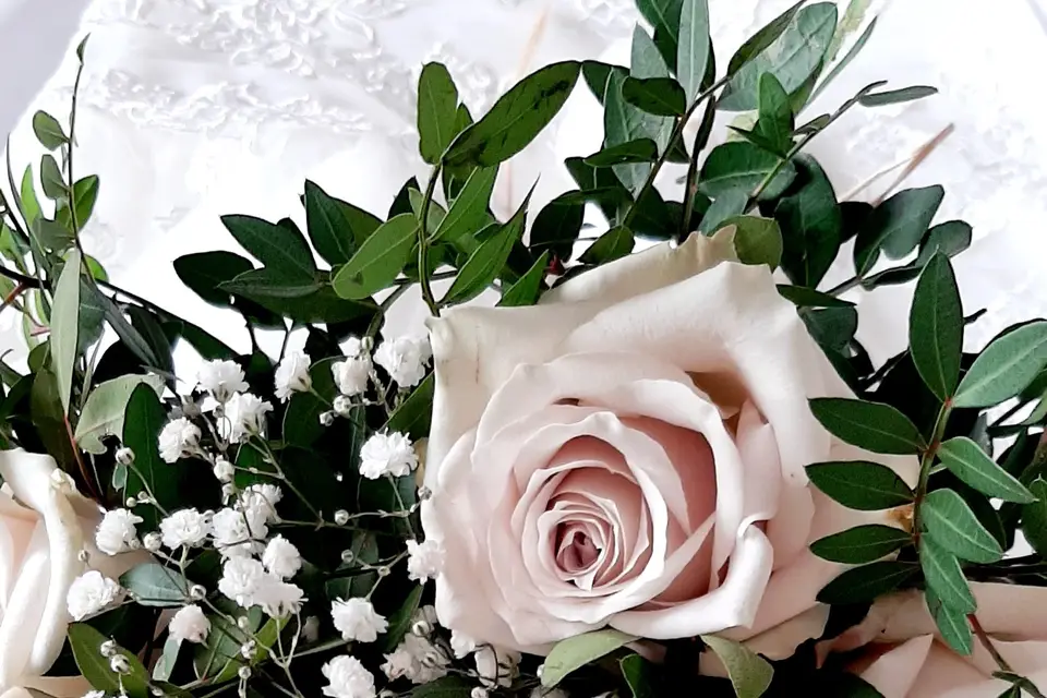 Roses & Merveilles — photo 1