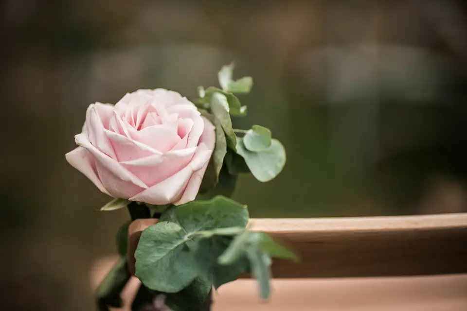 Memento Flori — photo 6