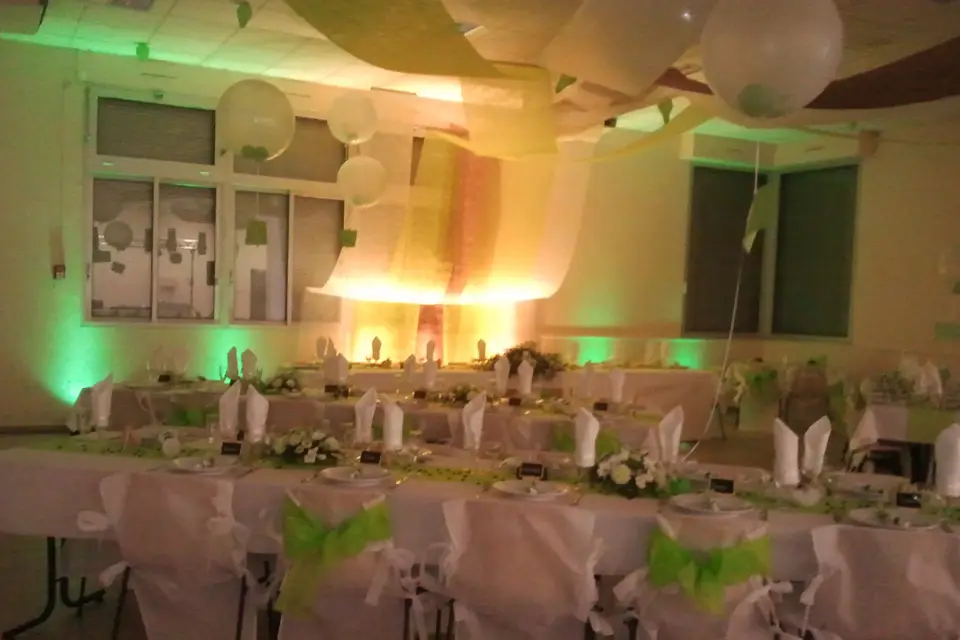 Animation Musique Show Concept — photo 3