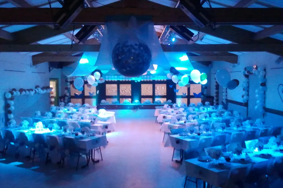 Animation Musique Show Concept