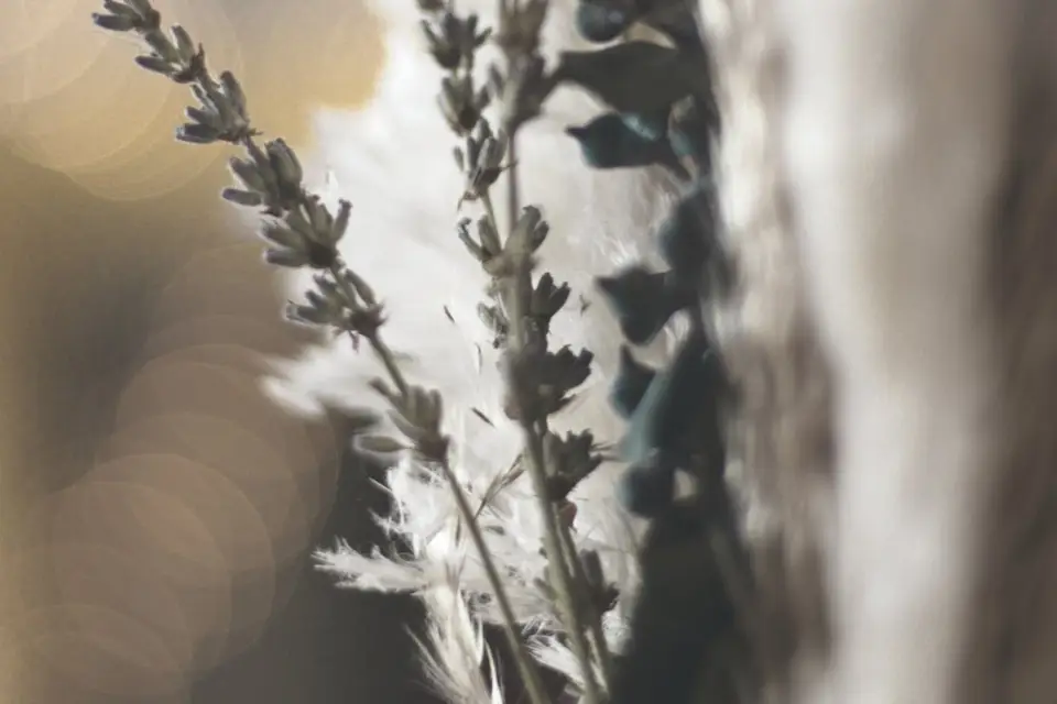 MG Weddings — photo 7