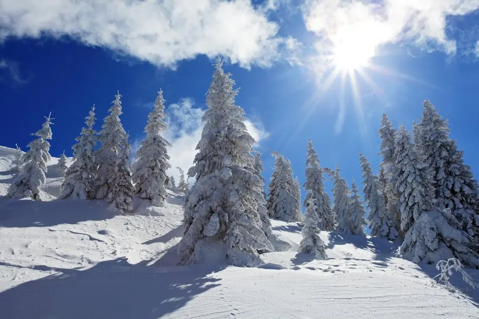 En voiture Simone — photo 7