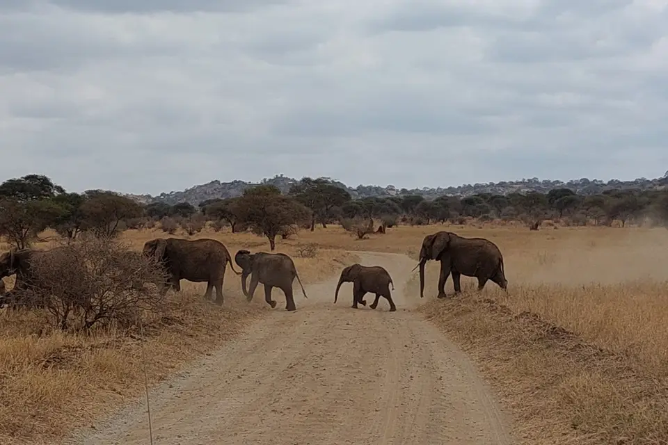 Instant et Evasion — photo 6