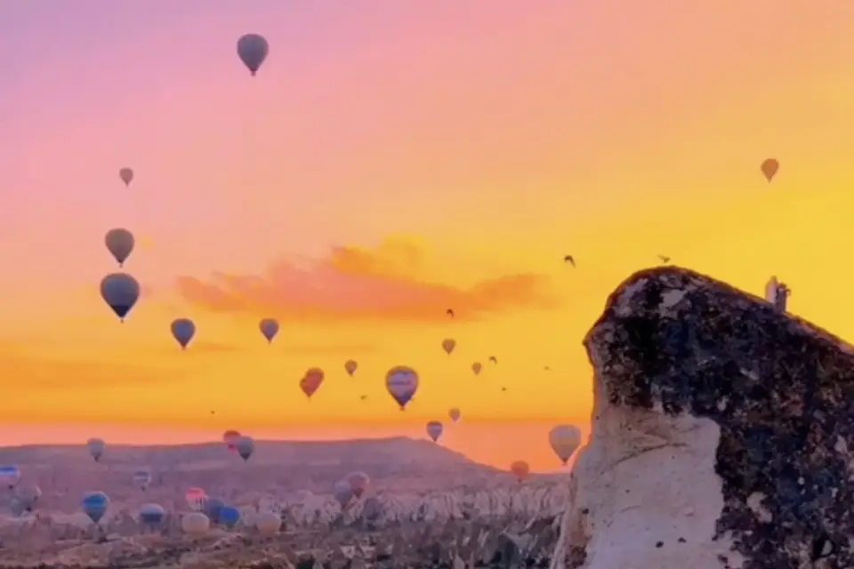 Le Voyage pour Tous — photo 4