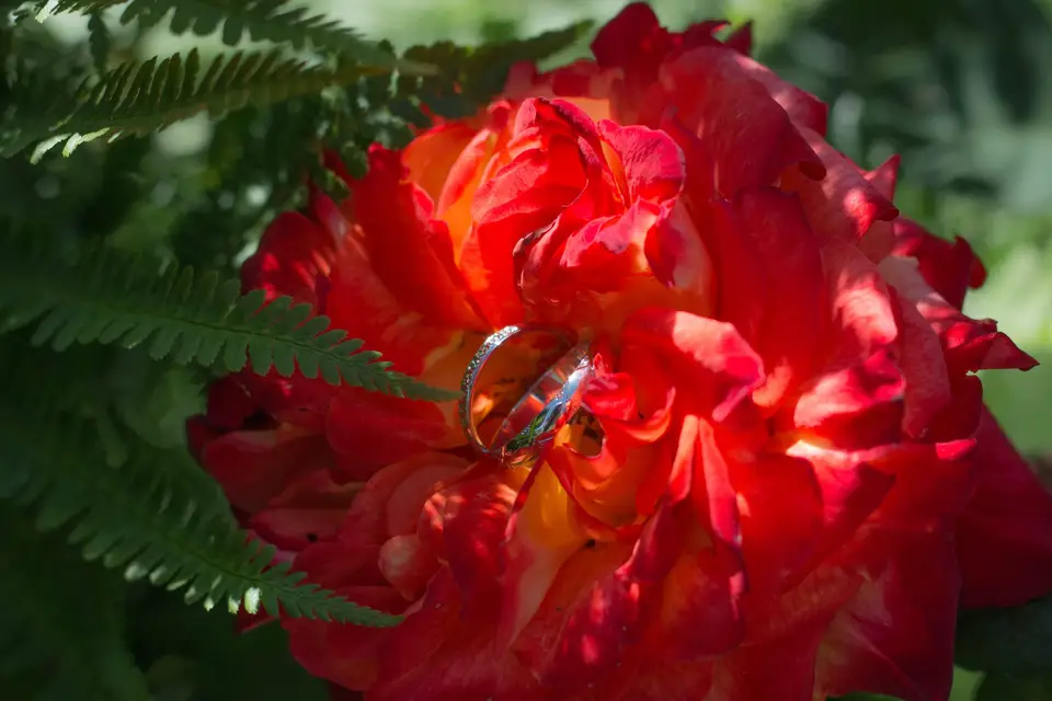 E.M Photographie — photo 4