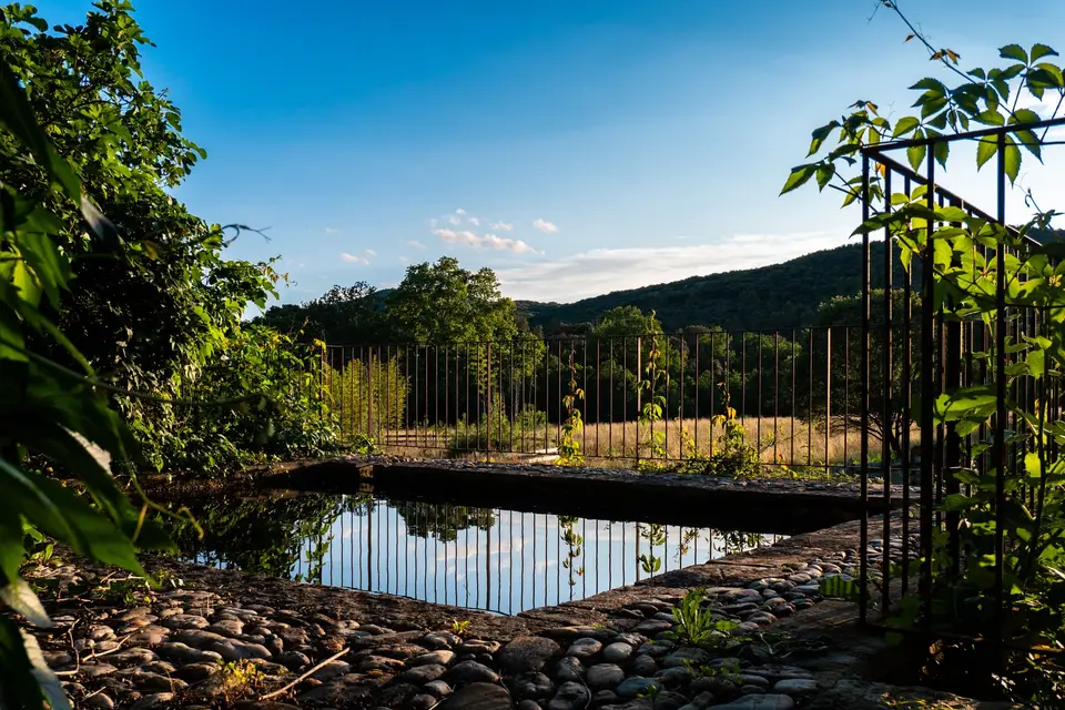 Domaine de la Verrerie — photo 4