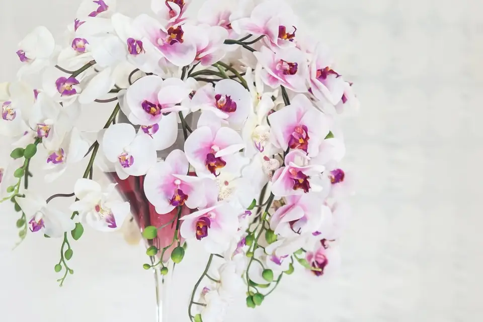 Loc'Vaisselle49 — photo 3