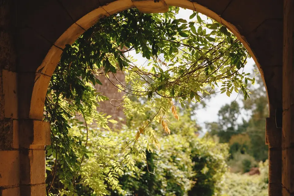 Château de la Cressonnière — photo 5