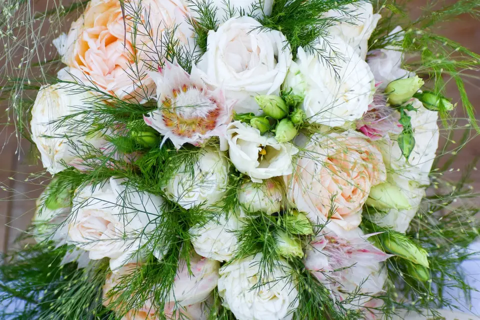 Pertuis Fleurs — photo 8