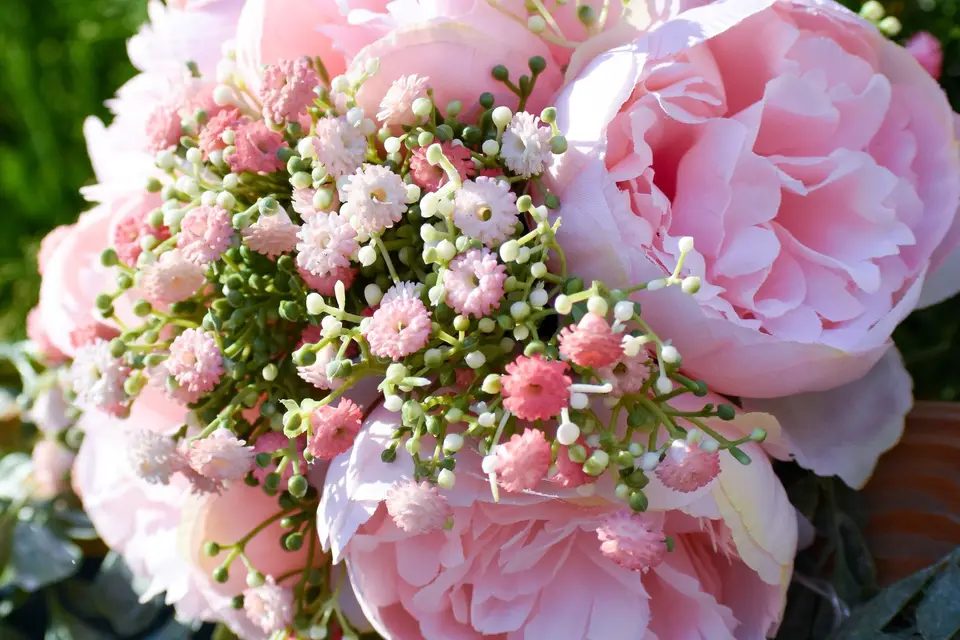 Pertuis Fleurs — photo 6