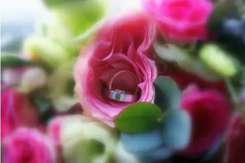 JP Cphotos Amoi — photo 8