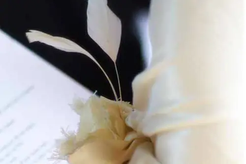 JP Cphotos Amoi — photo 3