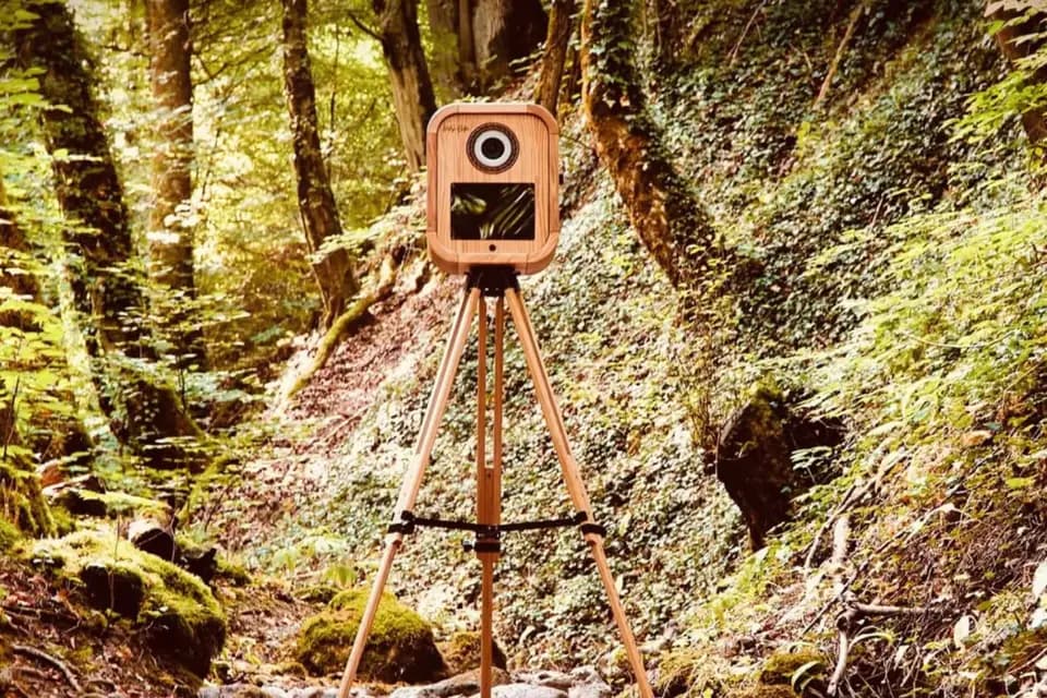 Mademoiselle Libellule — photo 1