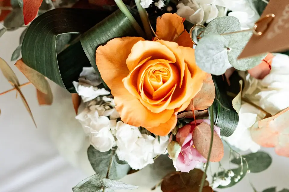 Zenasiart — photo 1