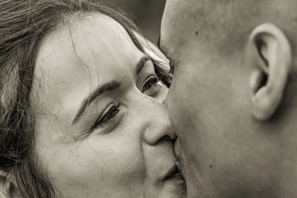 Zenasiart — photo 4