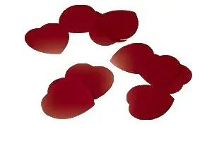 Fleurs de Dragées — photo 3