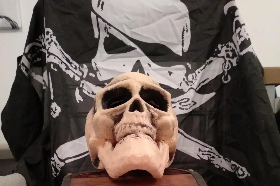 Elvince Event — photo 4