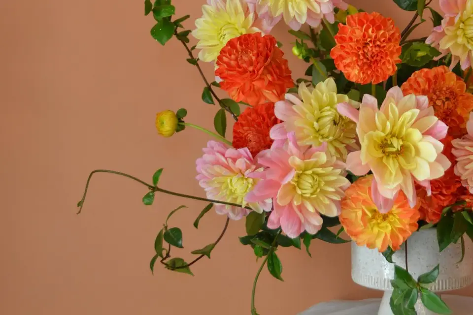 Grandbeau — photo 8