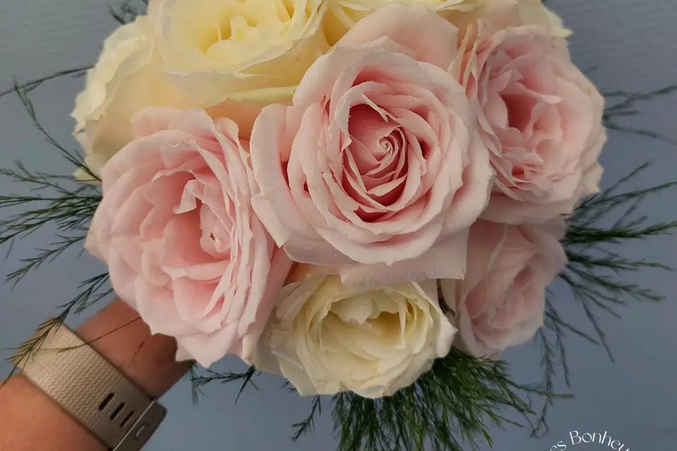 Les Bonheurs de Sophie — photo 4