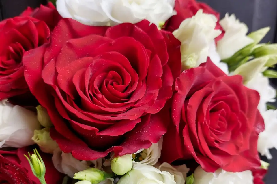 Les Bonheurs de Sophie — photo 6