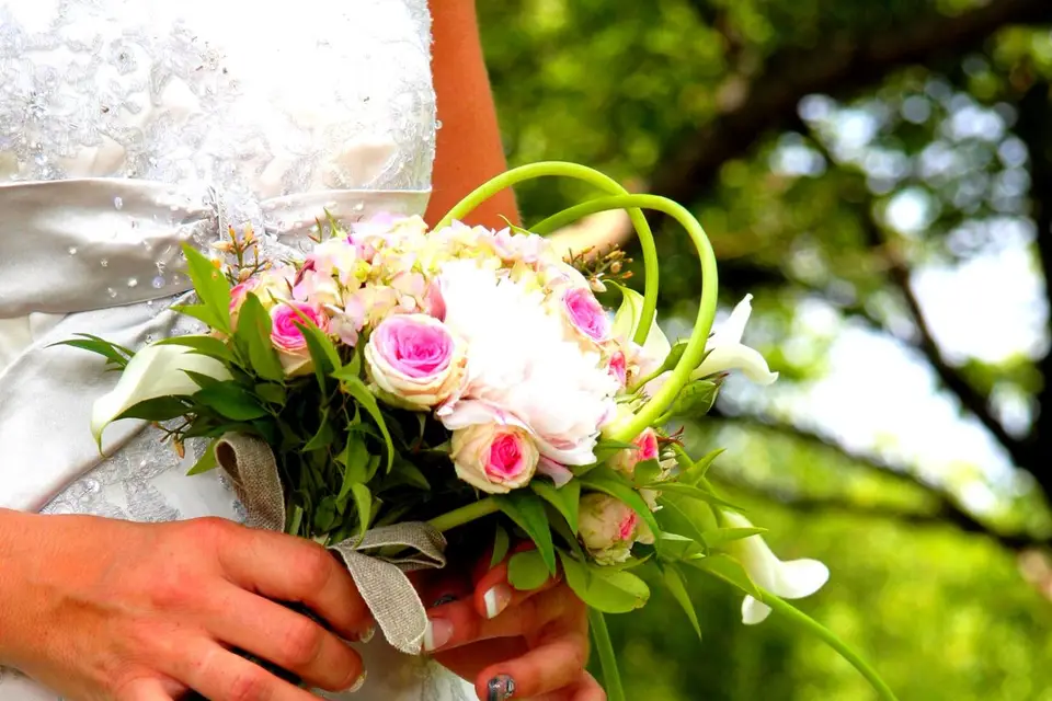 Fabrice Photographies — photo 2