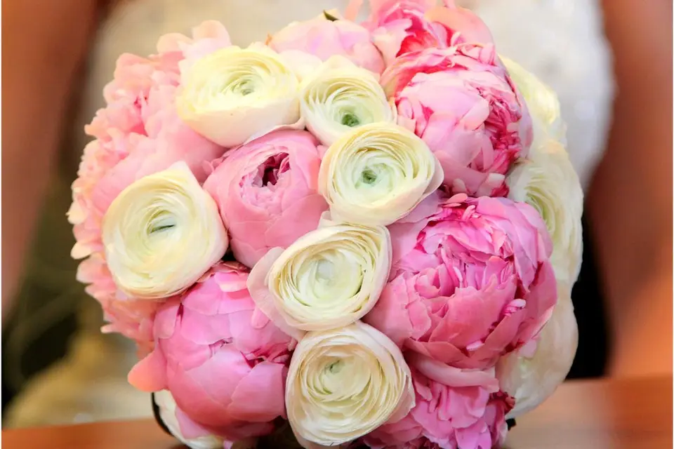 Fabrice Photographies — photo 8