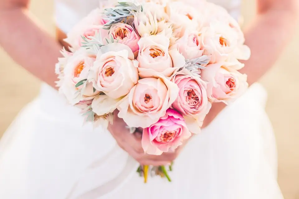 Elisabeth Delsol — photo 2