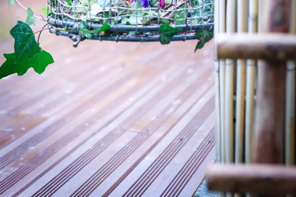 Elisabeth Delsol — photo 8