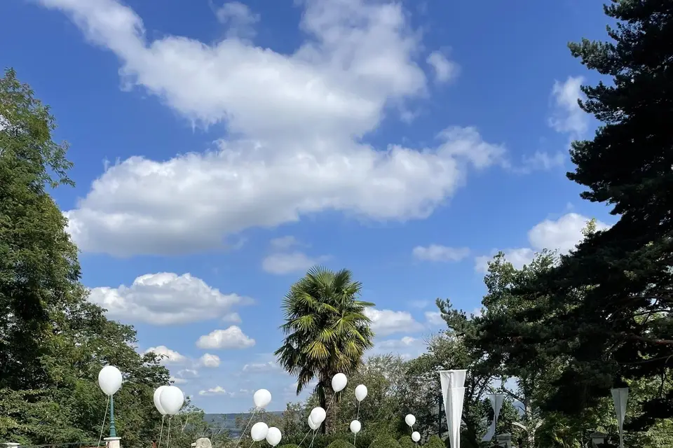 Hello Events — photo 7