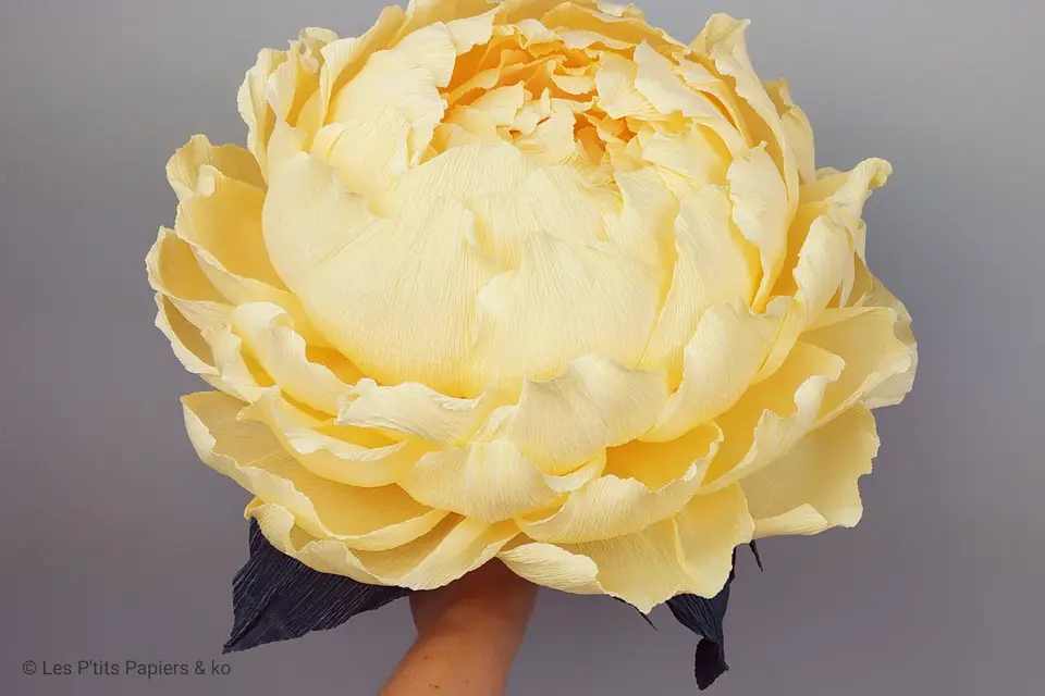 Les P'tits Papiers & ko — photo 1