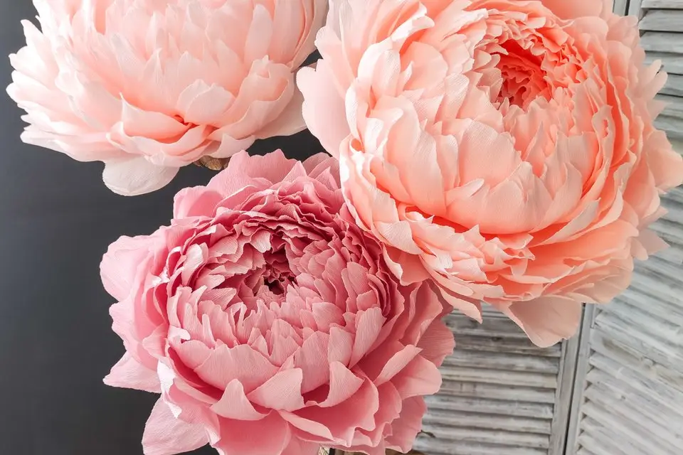 Les P'tits Papiers & ko