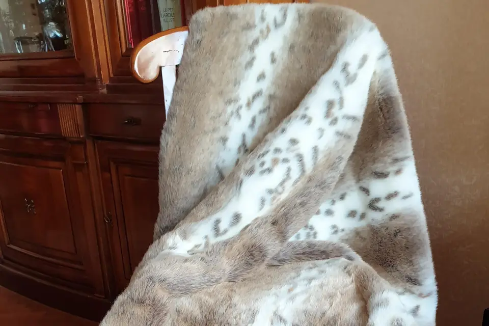 Paris Excellence — photo 2