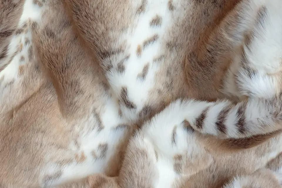 Paris Excellence — photo 3