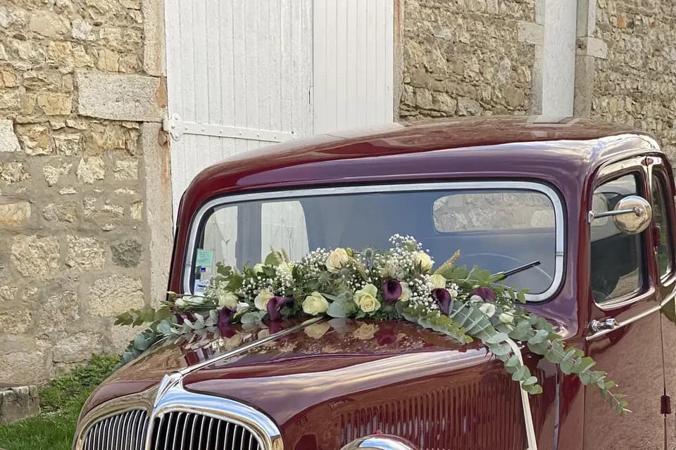 Day Event — photo 6