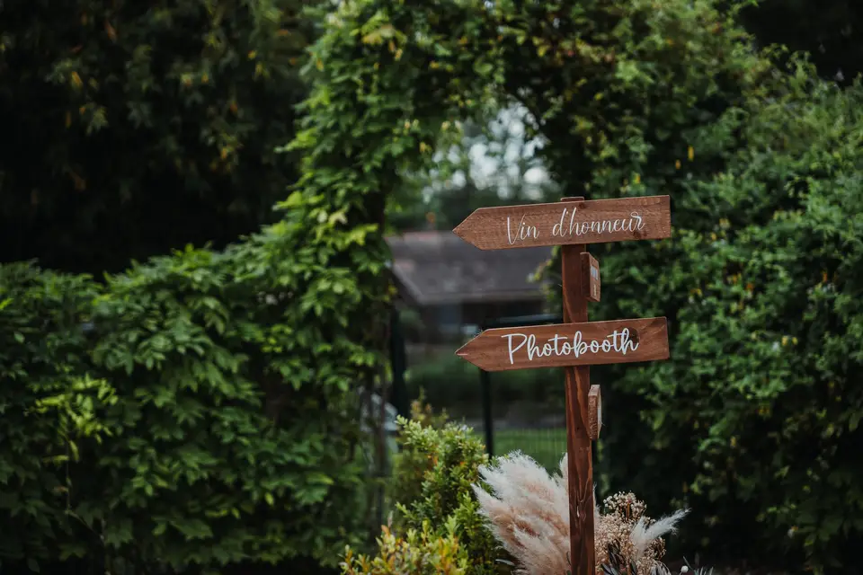 Jungle box — photo 6