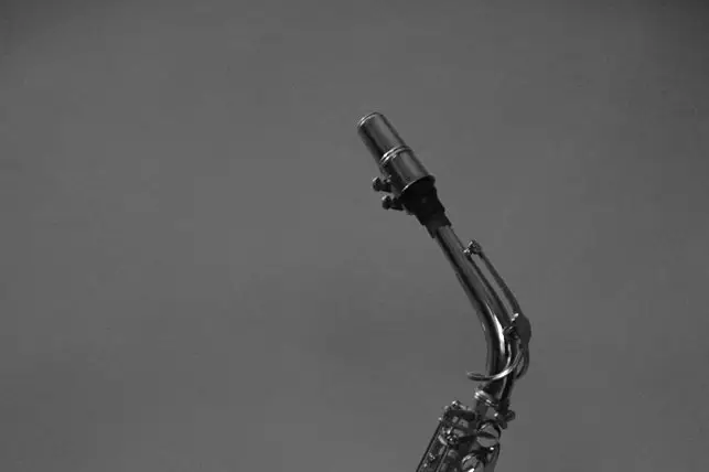 Sax'4'All — photo 4