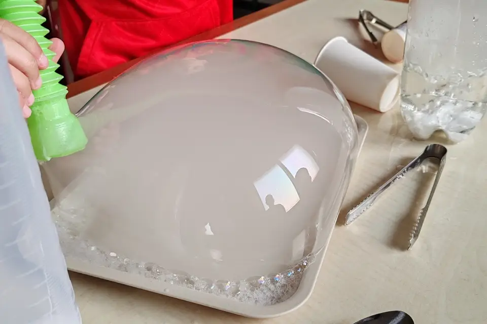 Les Savants Fous Annonay-Valence — photo 1