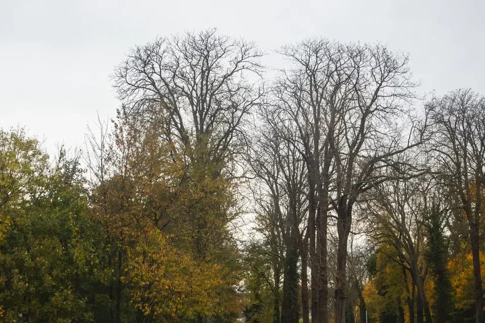 AW Motors — photo 3