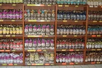 Le Petit Ardéchois — photo 1