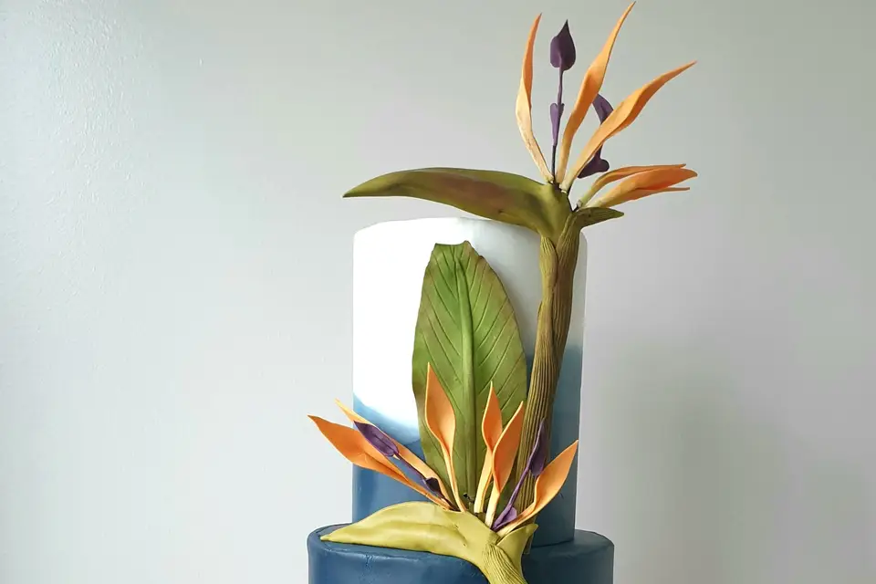 Douceur cake studio — photo 2