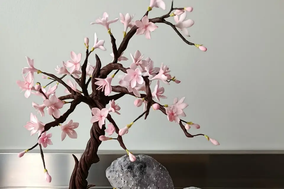 Douceur cake studio — photo 8