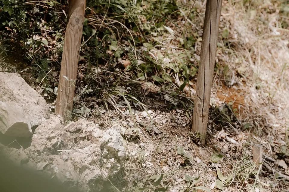 Rue des Madeleines Photographie — photo 6